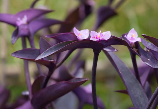 201207081316-DSC03370.jpg
