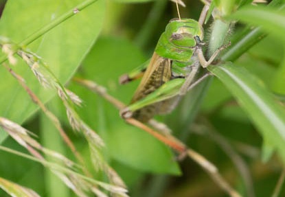 201207081330-DSC03400.jpg