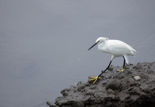 201207081337-DSC03412.jpg