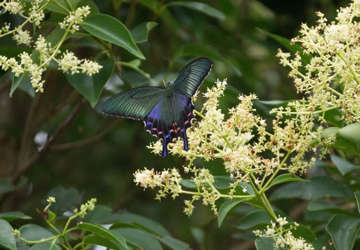 201207081353-DSC03444.jpg