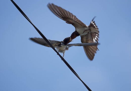 201207081448-DSC03553.jpg