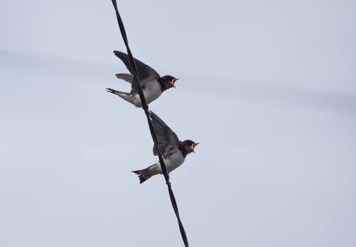 201207081452-DSC03564.jpg