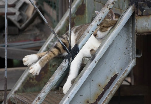 201207081527-DSC03816.jpg