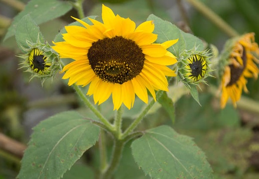 201207081558-DSC03863.jpg