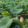 201207090523-DSC03885.jpg