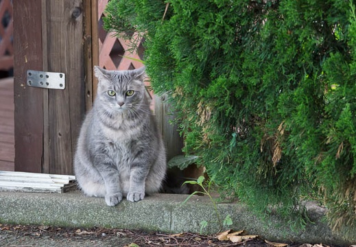 201207090604-DSC04011.jpg