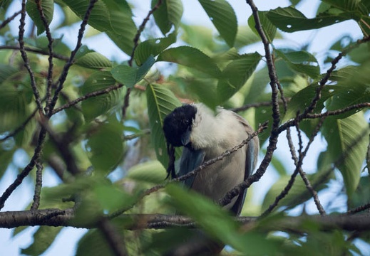 201207090624-DSC04099.jpg