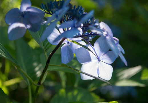 201207090940-DSC04550.jpg