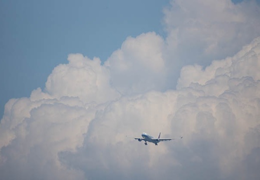 201207101311-DSC05331.jpg