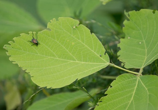 201207151601-DSC05690.jpg
