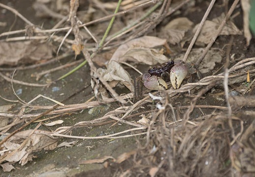 201207151612-DSC05702.jpg
