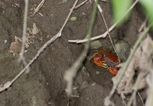 201207151614-DSC05709.jpg