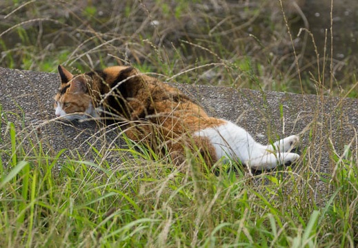 201207151629-DSC05730.jpg