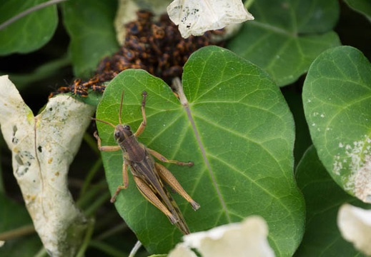 201207151706-DSC05749.jpg