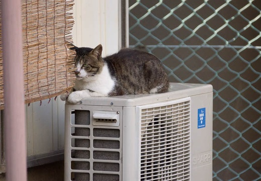 201207151725-DSC05778.jpg