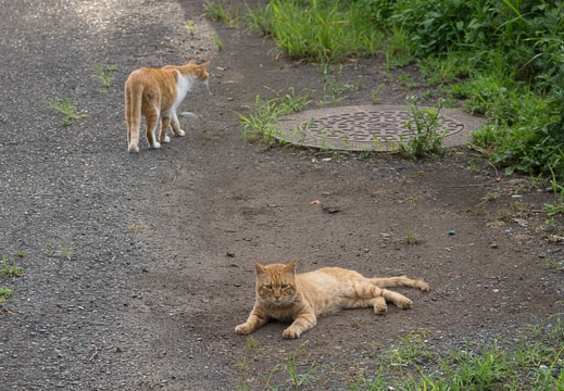 201207151735-DSC05822.jpg