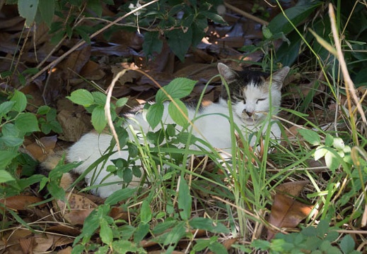 201207171252-DSC05935.jpg