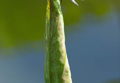201207171357-DSC06072.jpg