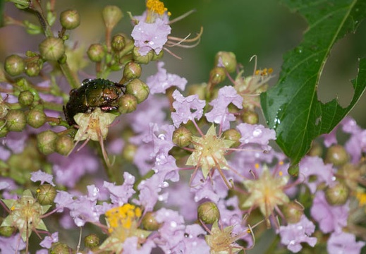 201207211417-DSC06207.jpg