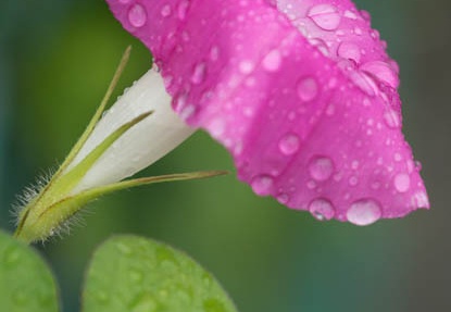 201207211425-DSC06227.jpg