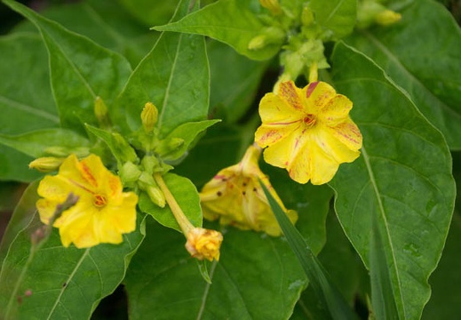 201207211500-DSC06247.jpg
