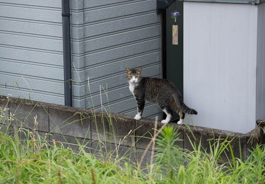 201207211721-DSC06299.jpg