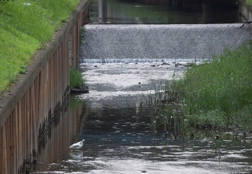 201207211729-DSC06313.jpg