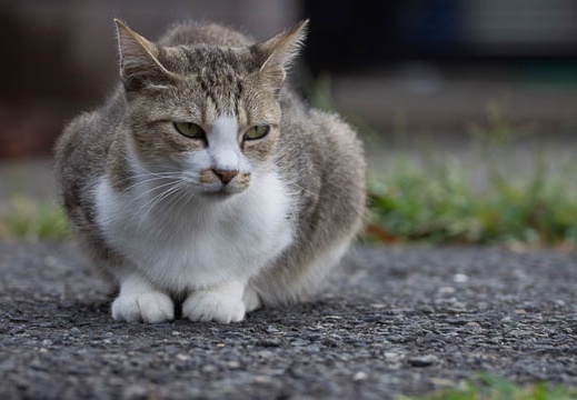 201207211731-DSC06323.jpg