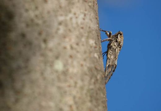 201207301629-DSC06386.jpg