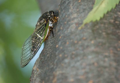 201207301642-DSC06423.jpg