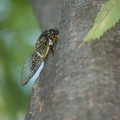201207301642-DSC06423.jpg