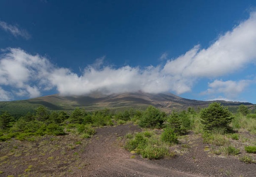 201208050818-DSC06532.jpg