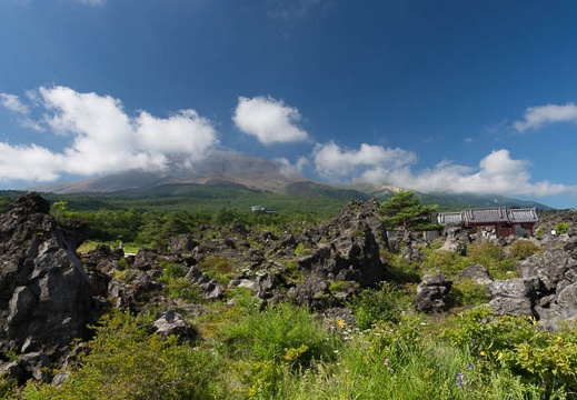 201208050831-DSC06545.jpg