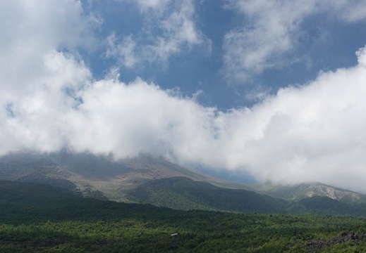 201208050909-DSC06607.jpg