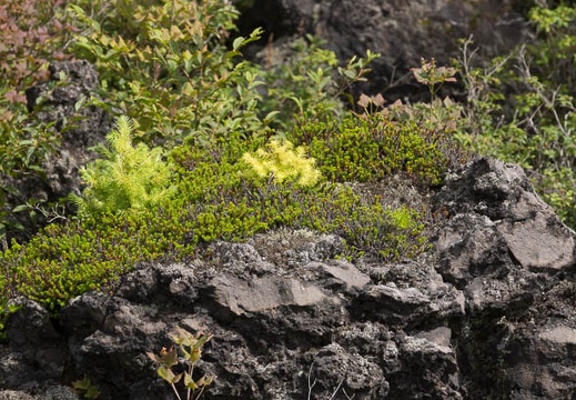 201208050916-DSC06617.jpg