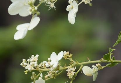 201208050922-DSC06627.jpg