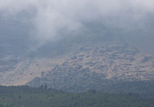 201208050934-DSC06640.jpg