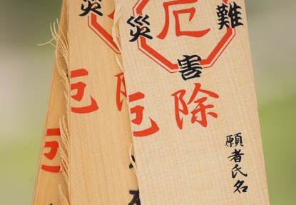 201208050947-DSC06643.jpg