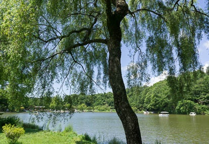 201208051132-DSC09919N.jpg