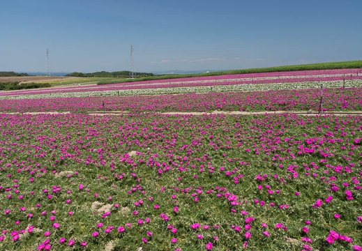 201208081250-DSC06926.jpg