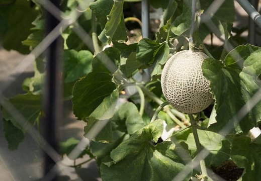 201208081350-DSC07015.jpg