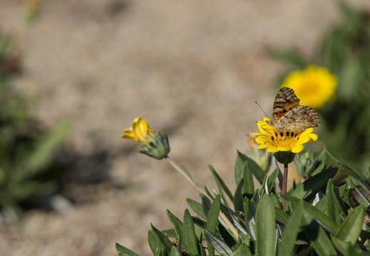 201208081350-DSC07020.jpg