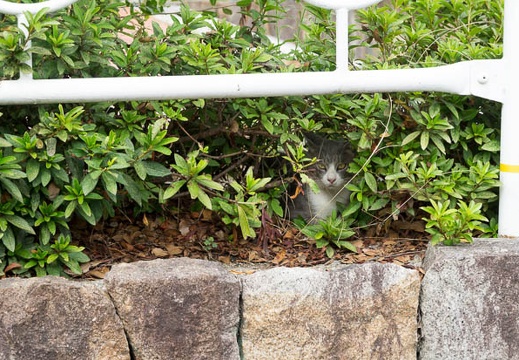 201208151103-DSC00111N.jpg