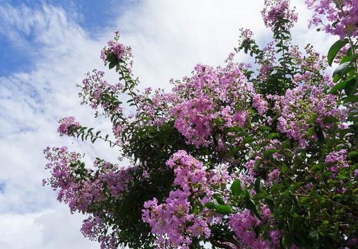 201208151326-DSC00157N.jpg