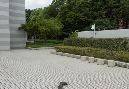 201208171323-DSC07130.jpg