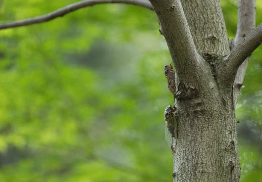 201208171432-DSC07176.jpg