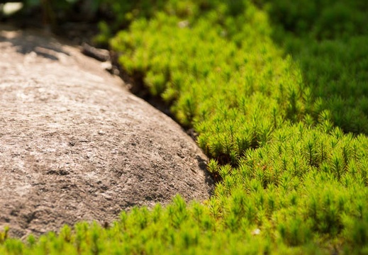 201208171447-DSC07184.jpg