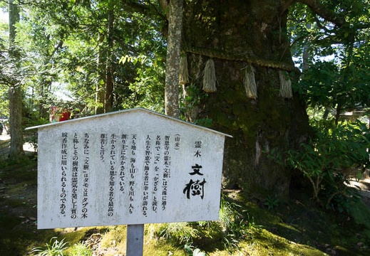 201208200828-DSC00412N.jpg