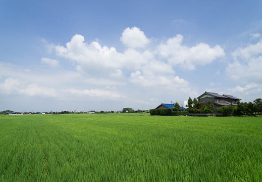 201208211247-DSC00577N.jpg
