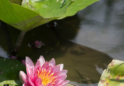 201208211249-DSC07906.jpg